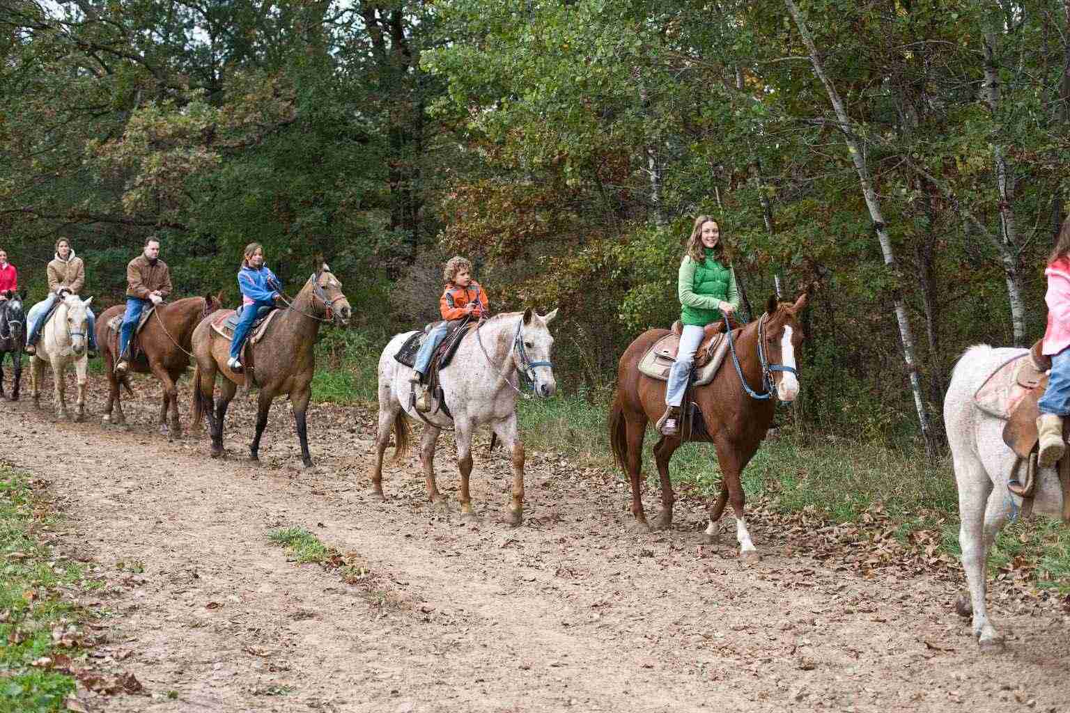 Horseback Riding Wisconsin Dells Scenic Adventures