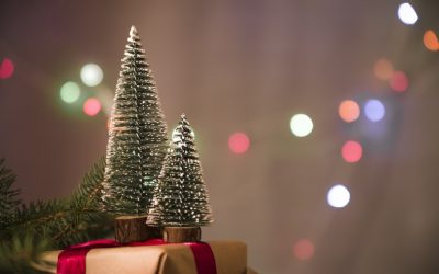 Enjoy Christmas 2023 in Wisconsin